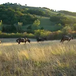 Hébergement de vacances Panorama Certes Gaudiès