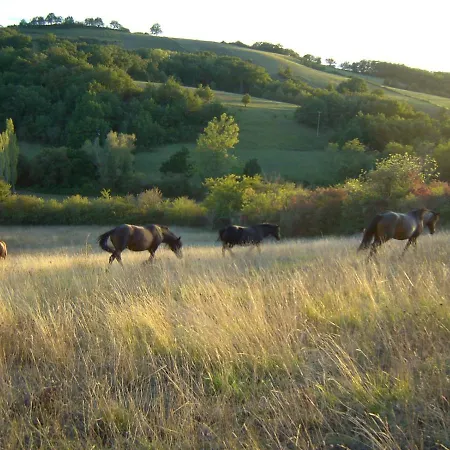 別荘 Panorama Certes Gaudiès