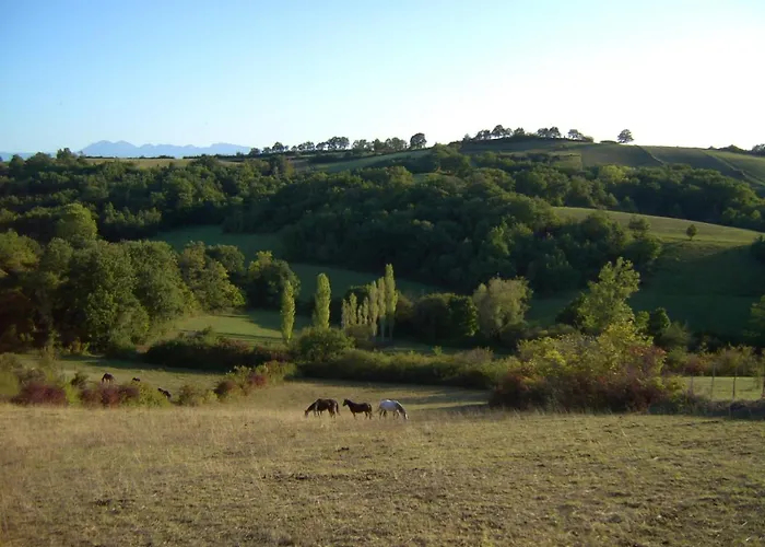 Panorama Certes 度假居 *