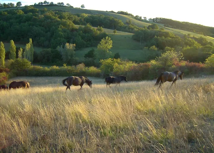 度假居 Panorama Certes Gaudiès